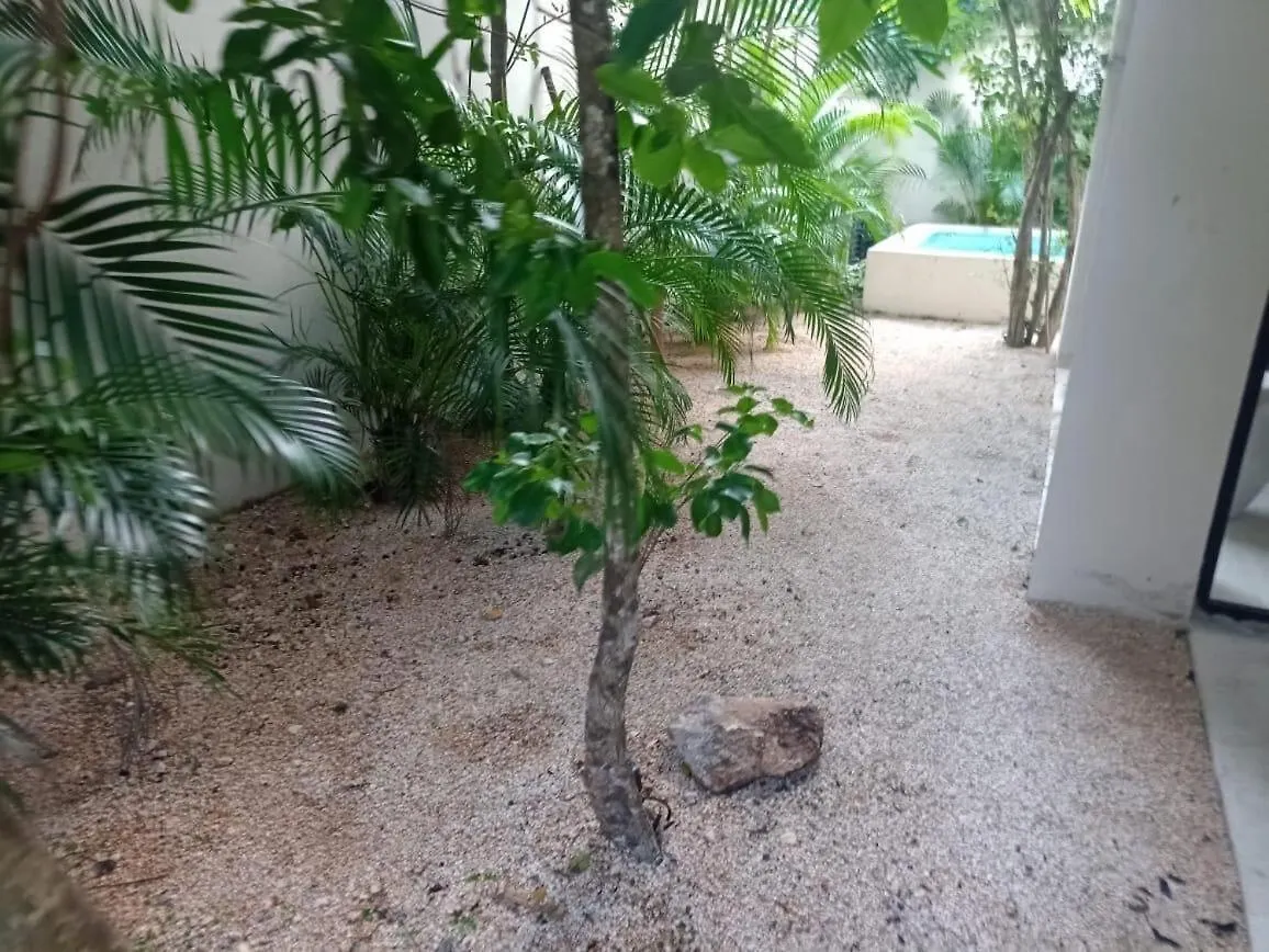 Incredible 3Br House For 6, Pool, Near Beach Tulum Mexico