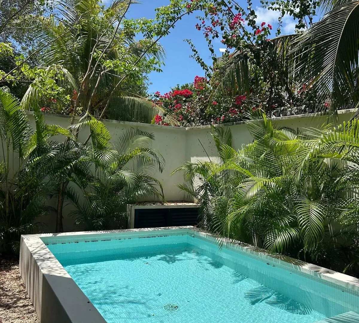 Incredible 3Br House For 6, Pool, Near Beach Tulum